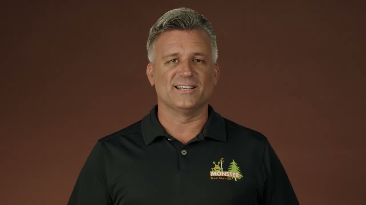 video_image_banner