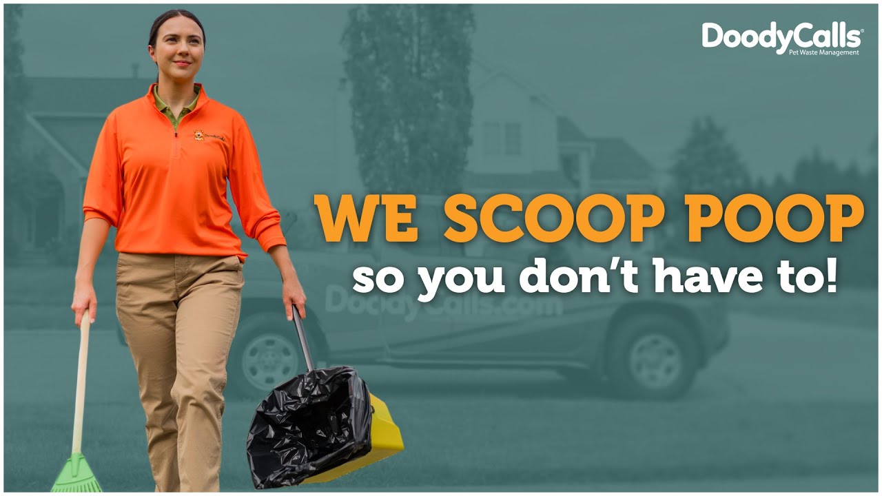 video_image_banner