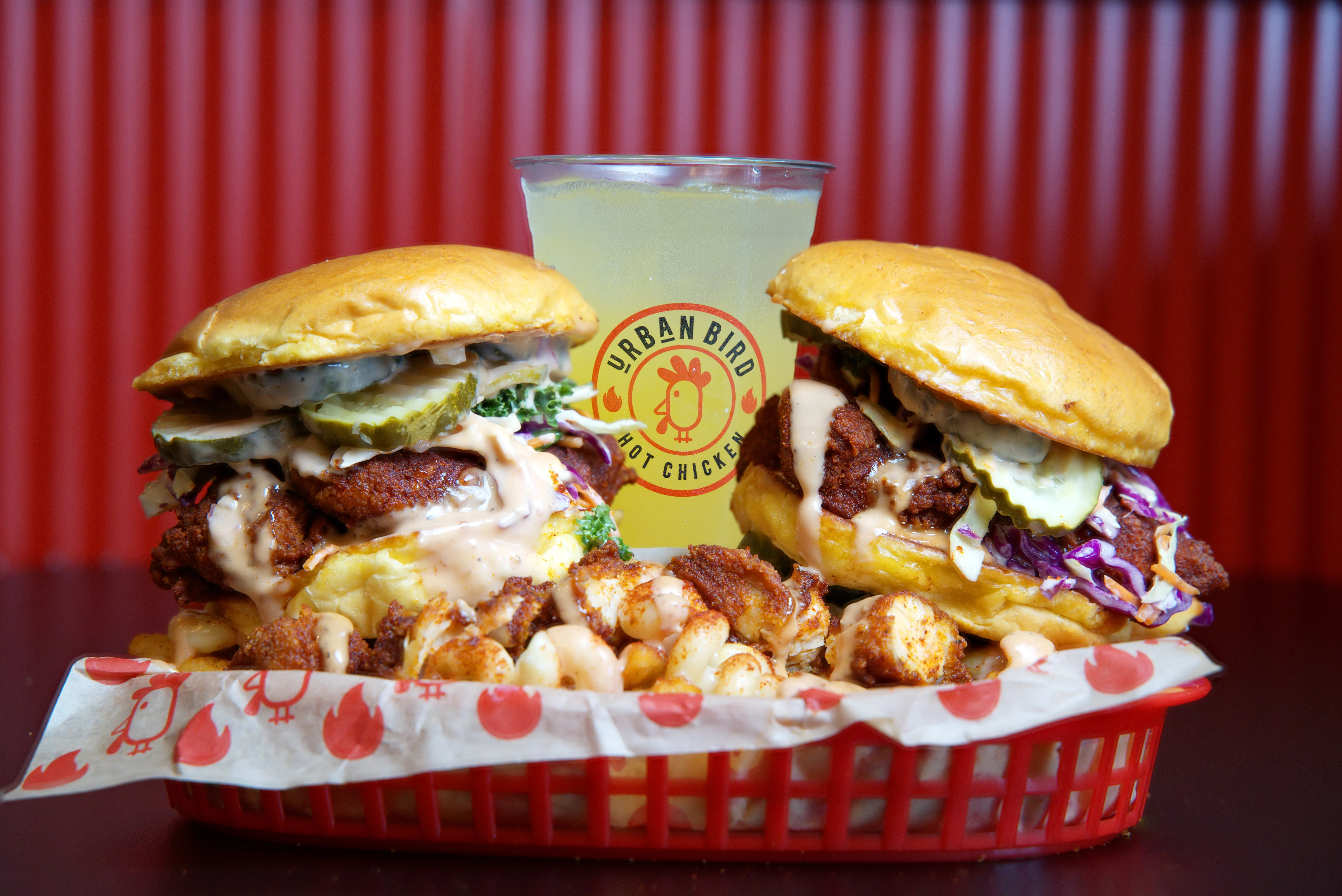 Urban Bird hot chicken sandwich and fries