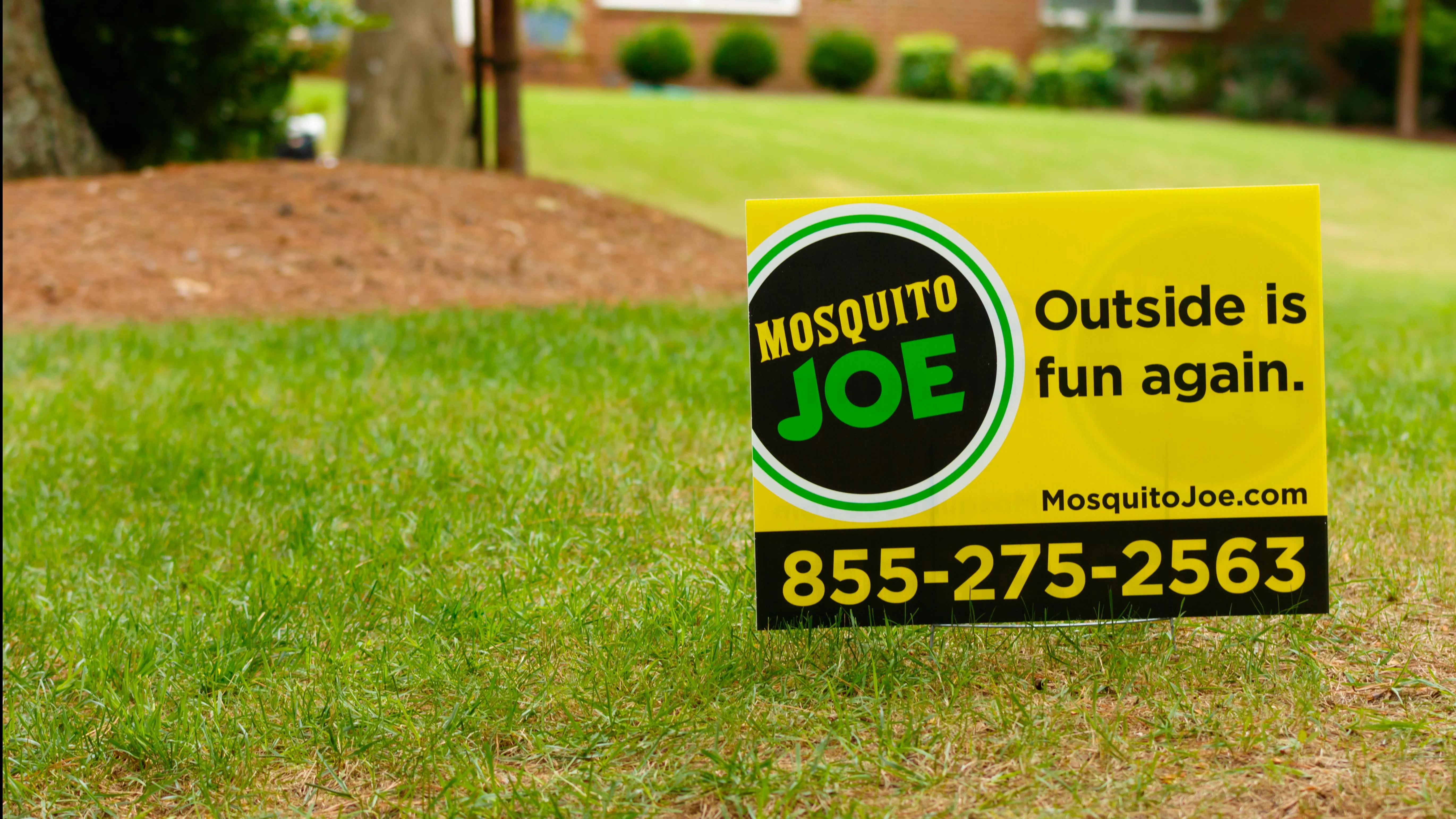 Mosquito Joe