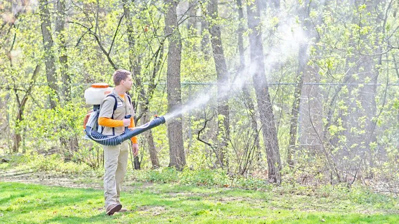 Mosquito Hunters