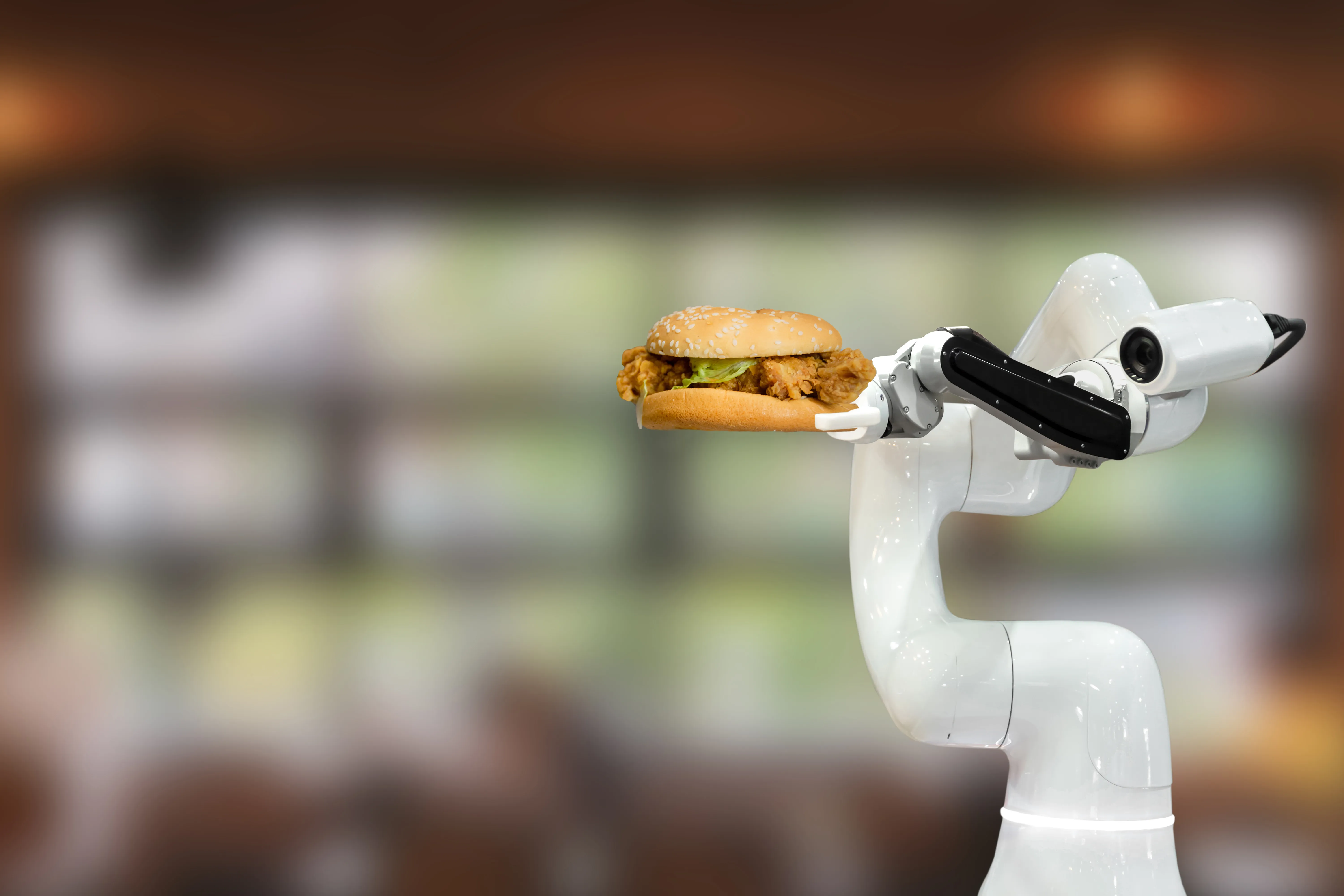 Fast Food Robot