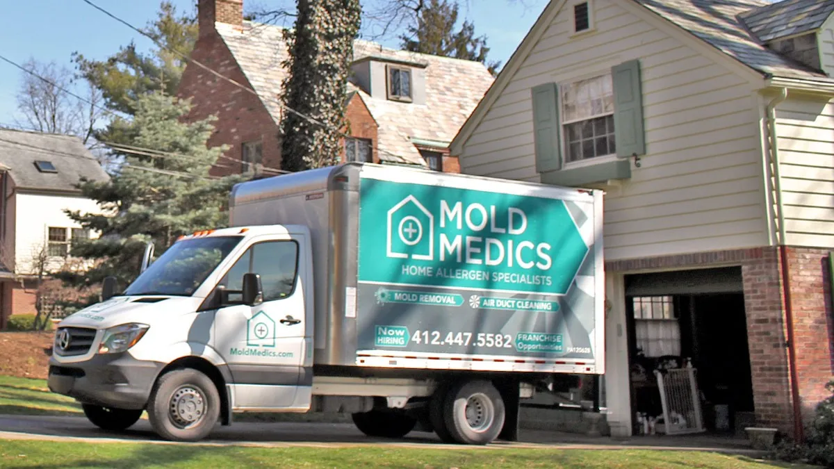 mold medics