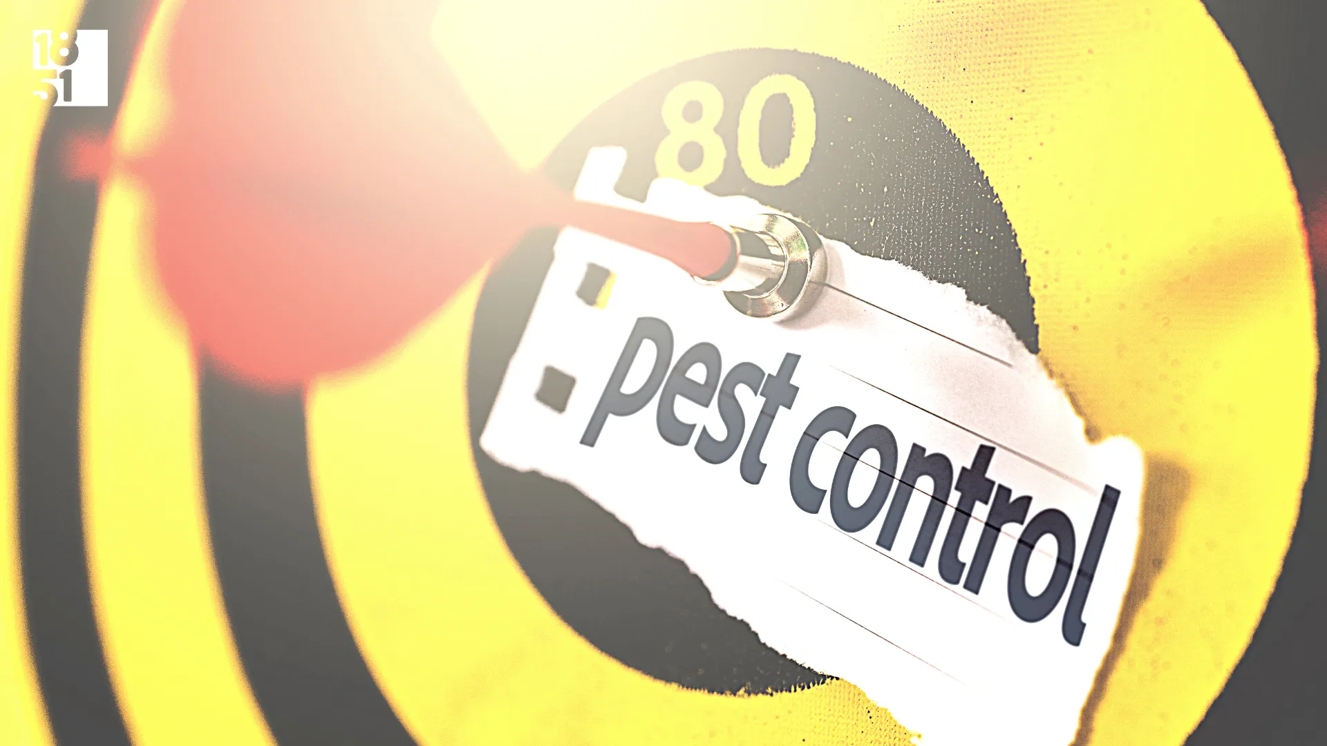 Why Own a Pest Control Franchise?