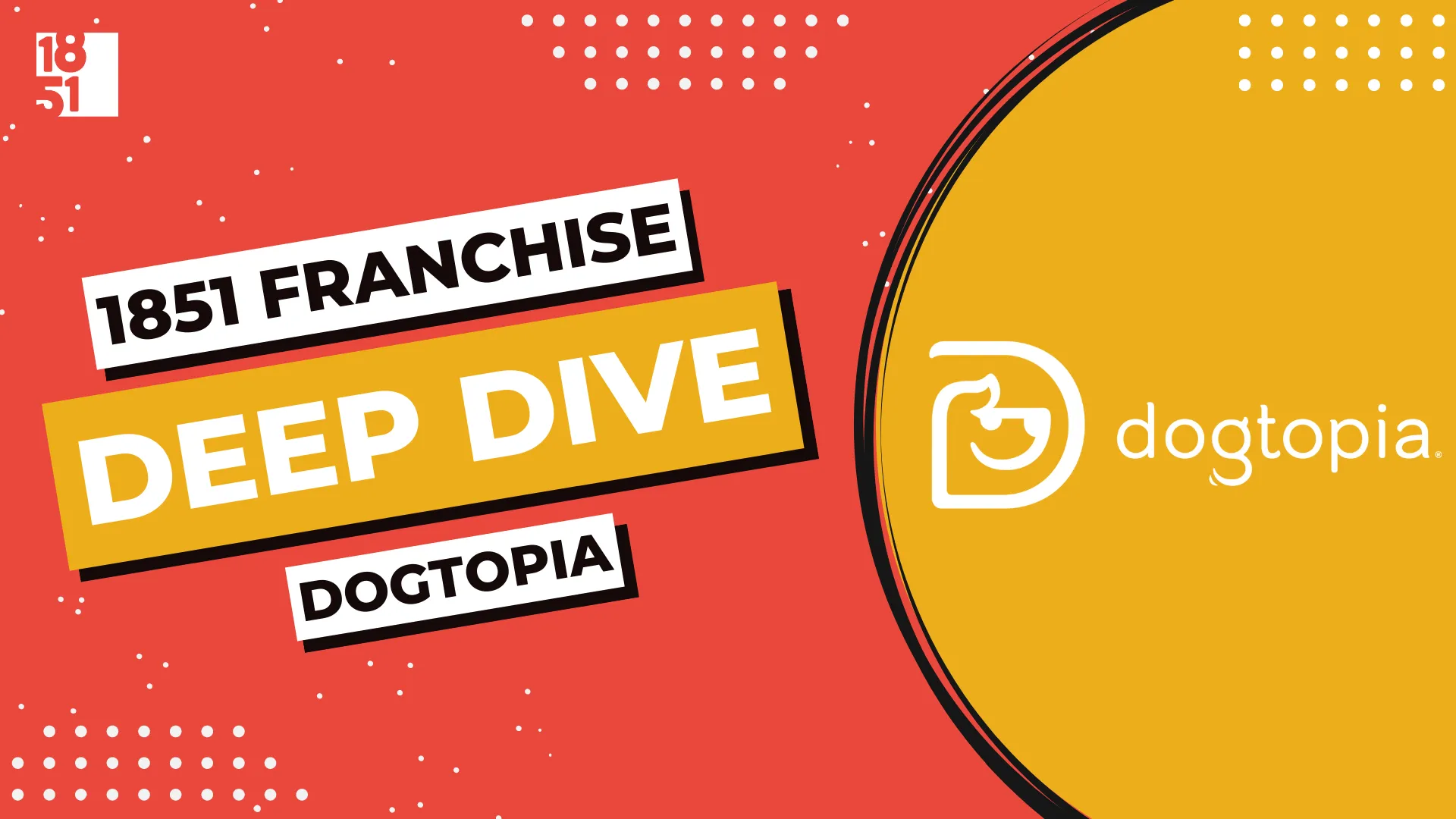 Franchise Deep Dive: Dogtopia’s Franchise Costs, Fees, Profit and Data