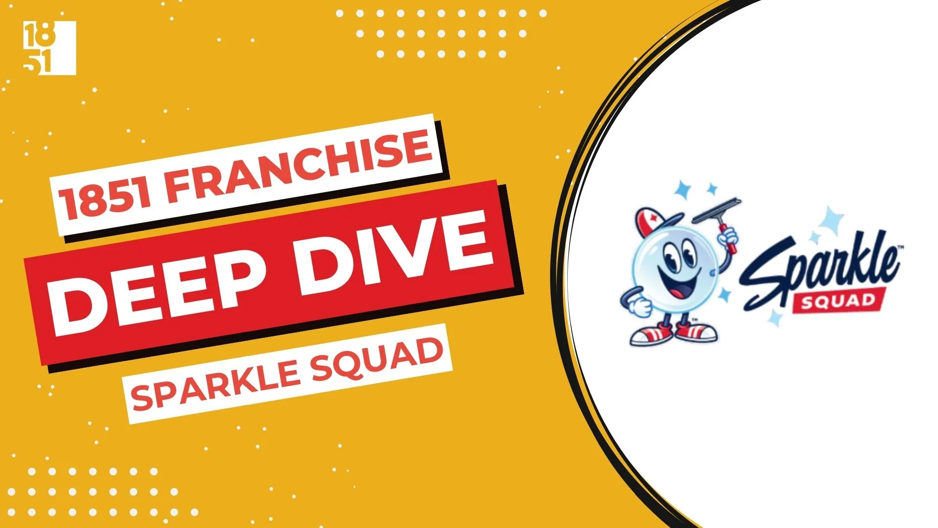 Franchise Deep Dive: Sparkle Squad Franchise Costs, Fees, Profit and Data