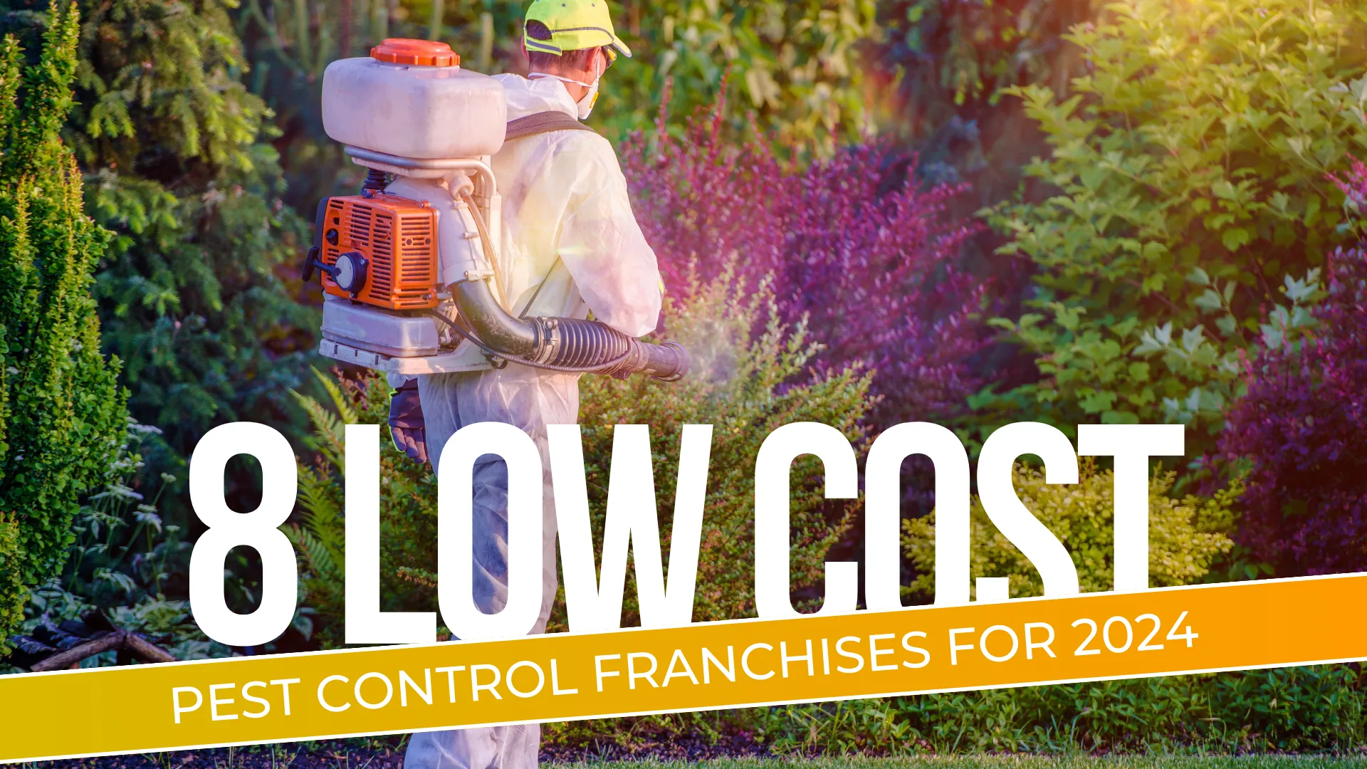 Low-Cost Pest Control Franchises - 1851 Franchise