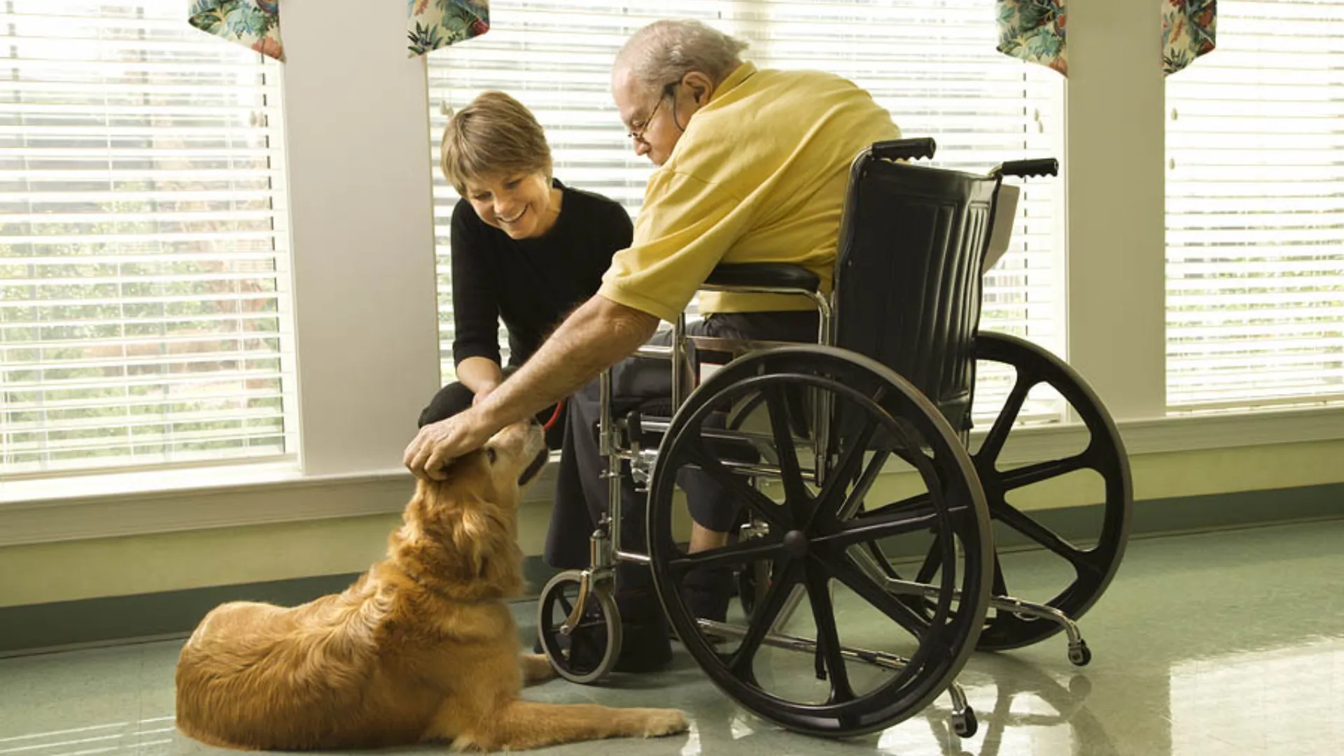 Home Health Care: How This Griswold Franchise’s Therapy Dogs Bring Comfort and Joy to Clients