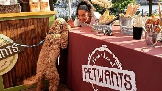 Pet Wants: Why Its a Top Franchise Choice in the Pet Industry