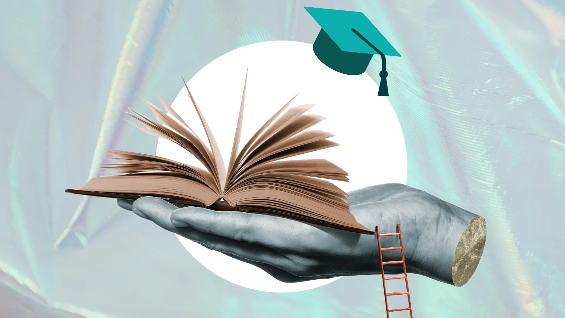Exploring Franchising Opportunities in the Education Sector