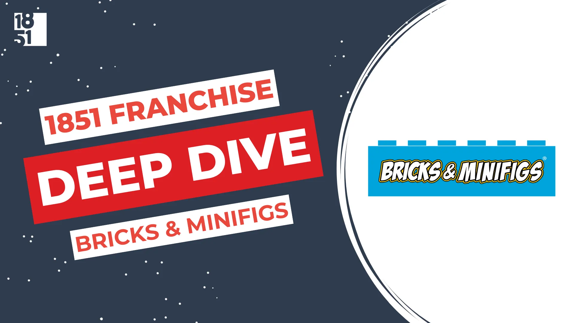 Bricks and minifigs franchise sale