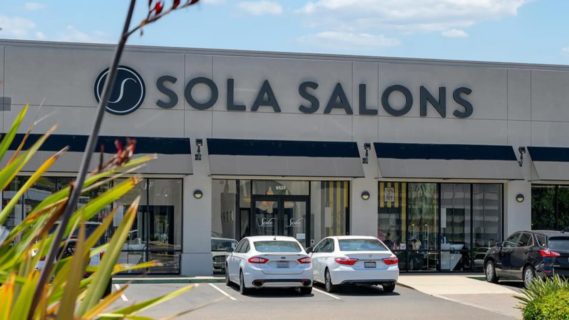 photo of exterior of a Sola Salons building with greenery framing the image