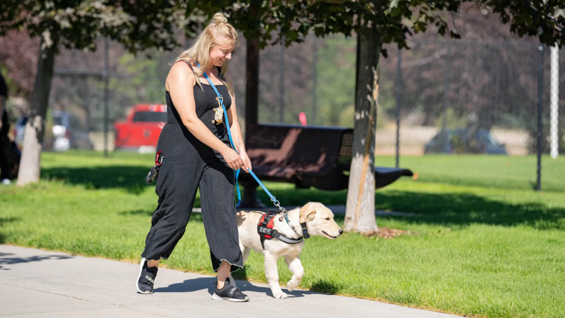 How Dog Training Elite Helps Individuals With Mental Health Challenges