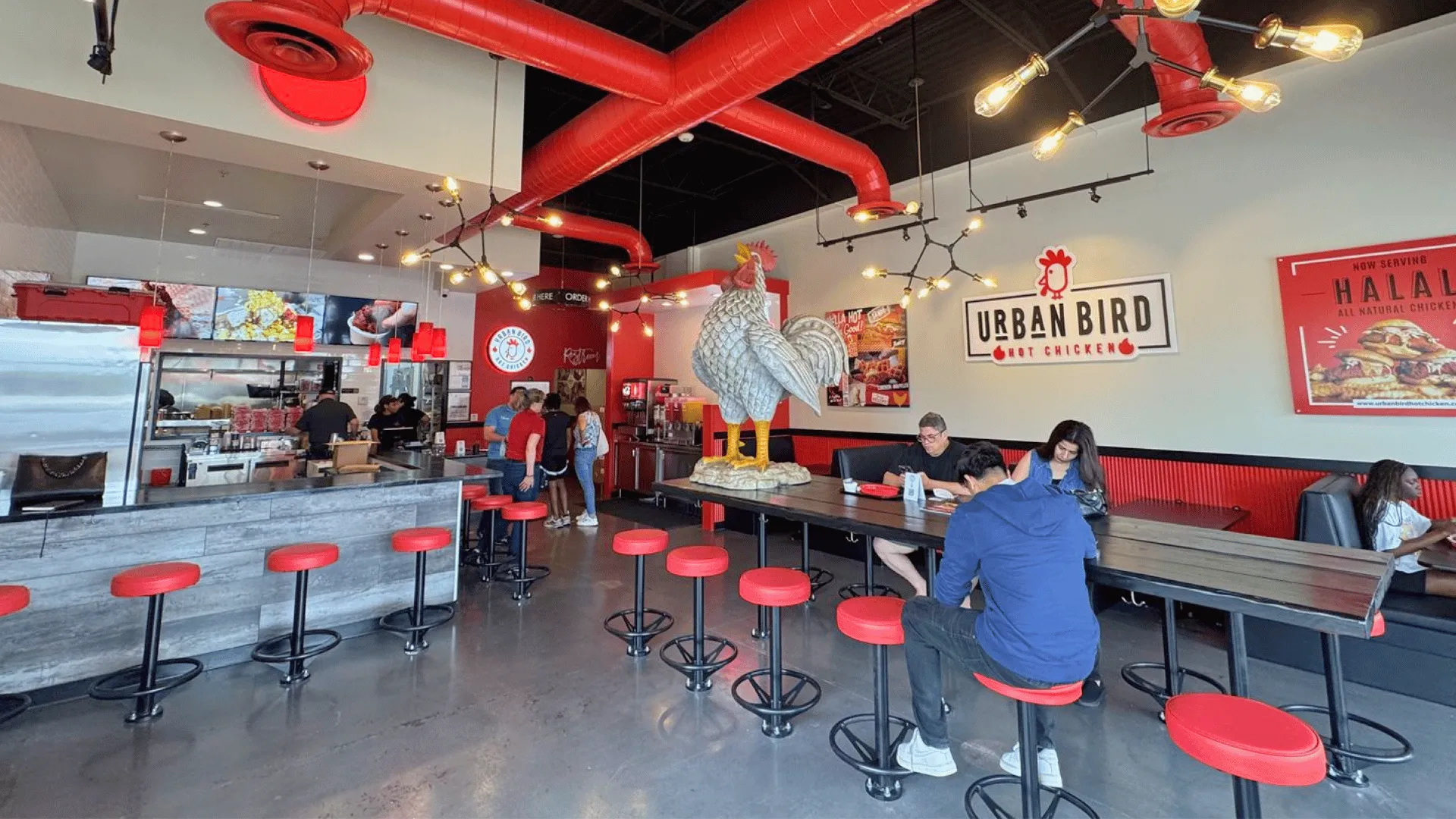images of urban bird interior franchise