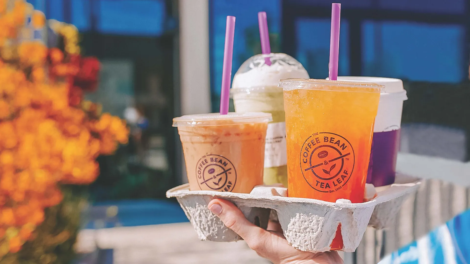 image of coffee been and tea leaf drinks franchise