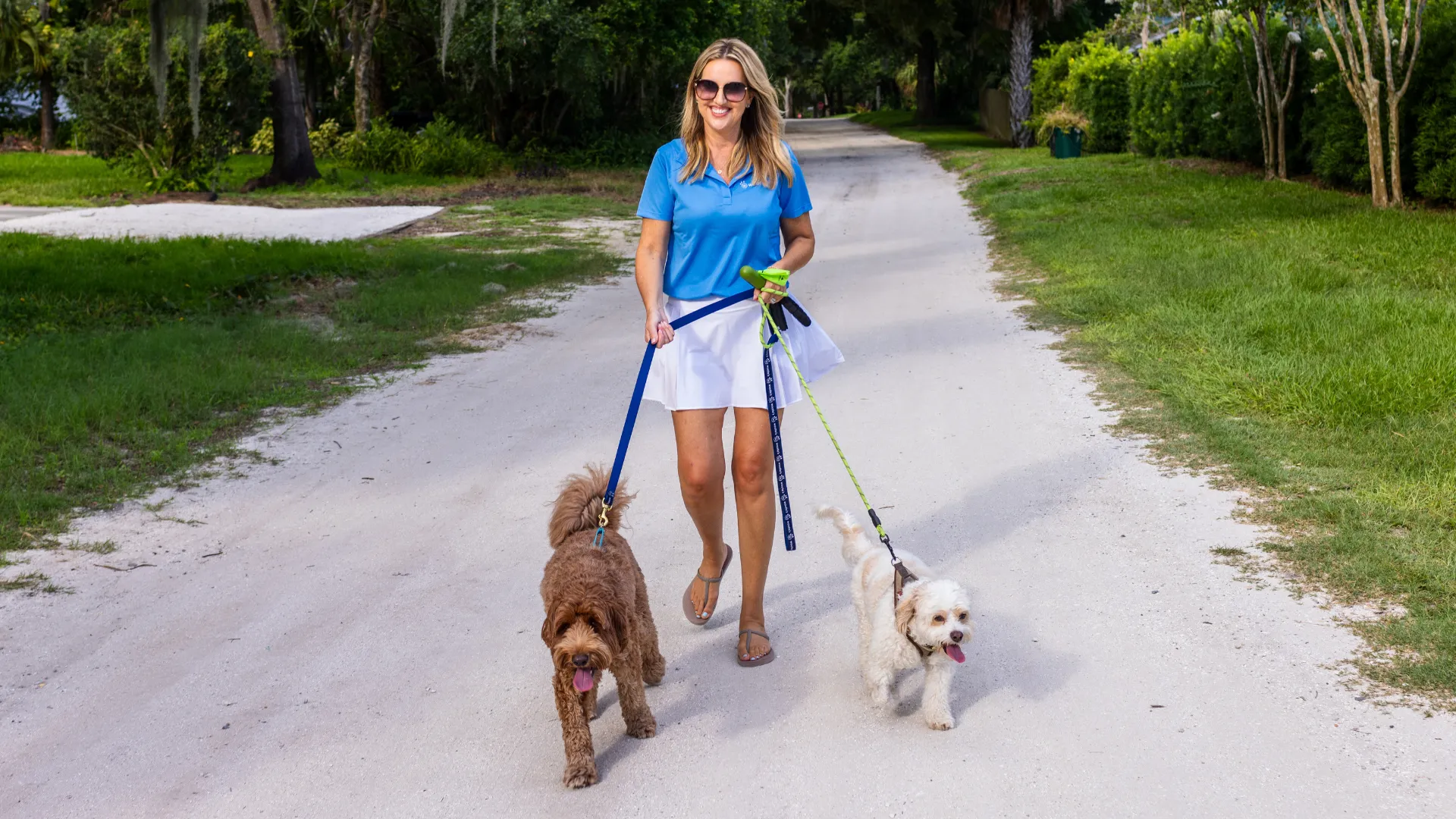 image of woofies franchise development